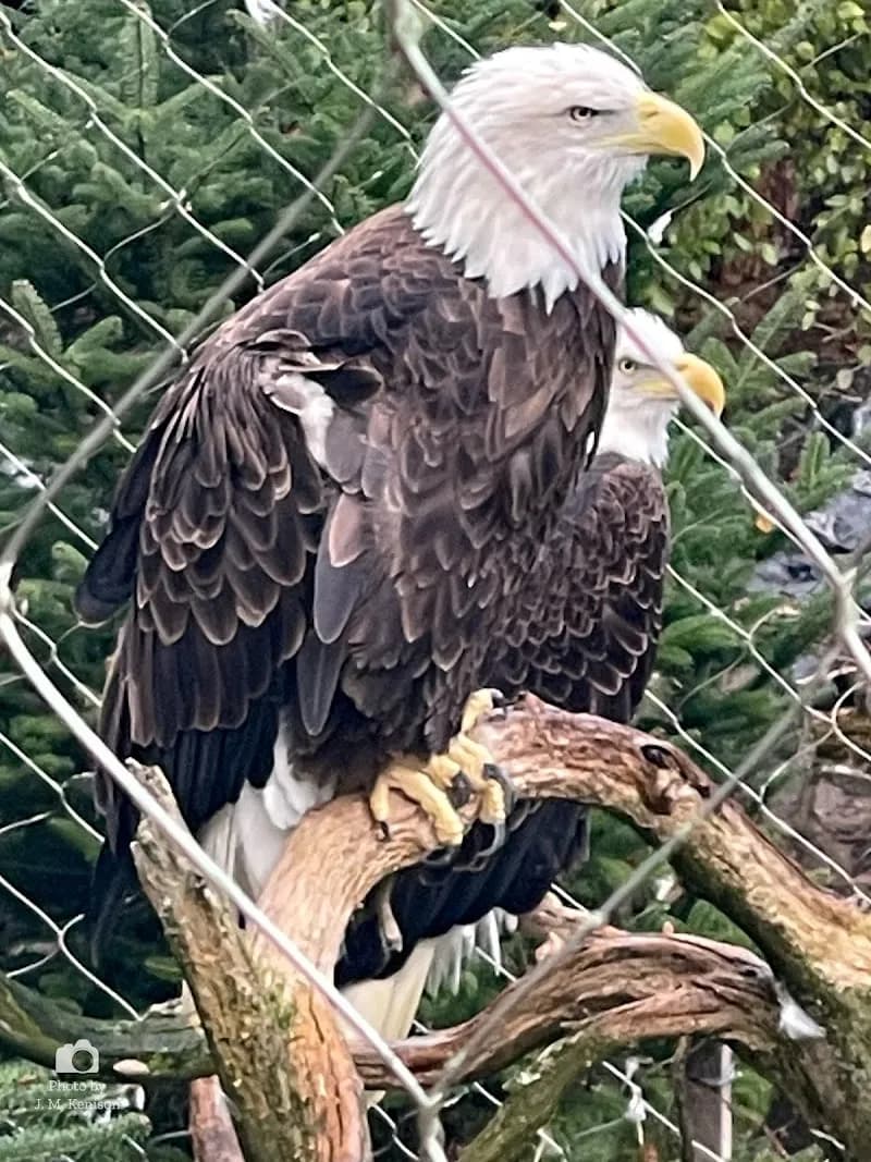 ZooAmerica zoo in Hershey, PA