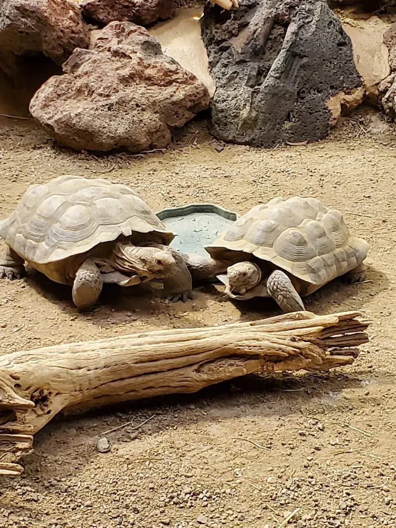 View of ZooAmerica in Hershey, PA