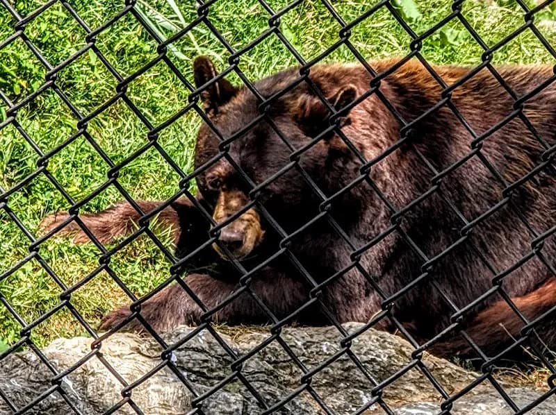 View of ZooAmerica in Hershey, PA