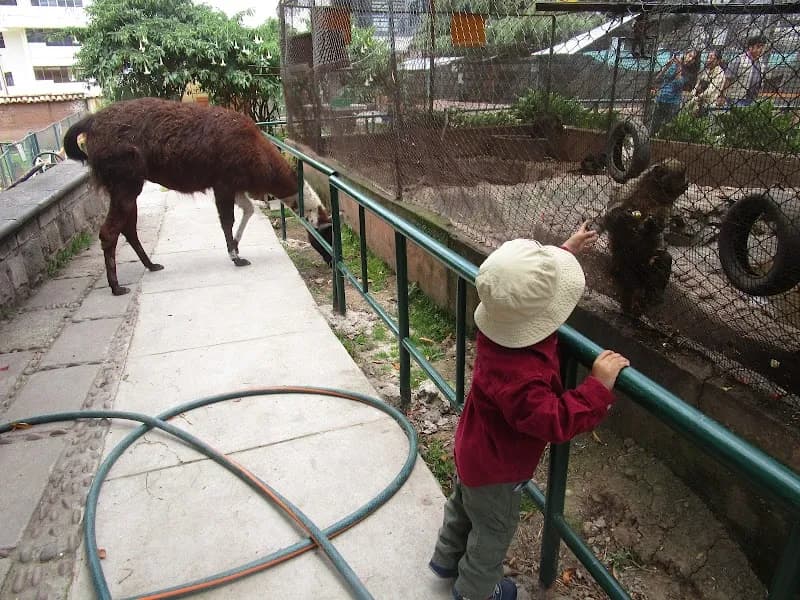 View of Zoologico UNSAAC in Cusco, CUS