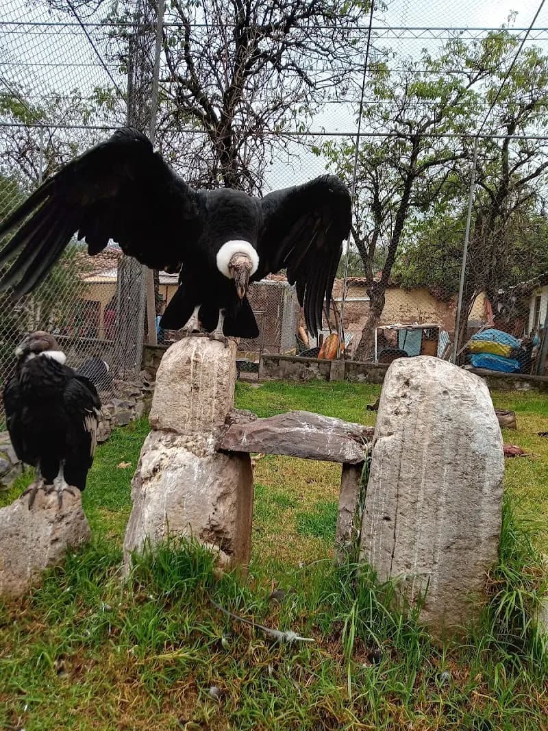 View of Zoologico UNSAAC in Cusco, CUS