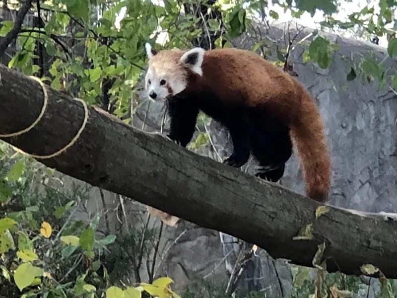 View of ZooMontana in Missoula, MT