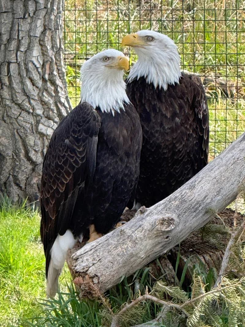 View of ZooMontana in Missoula, MT