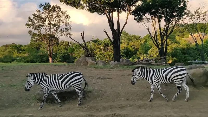 View of Zoorasia in Yokohama, YH