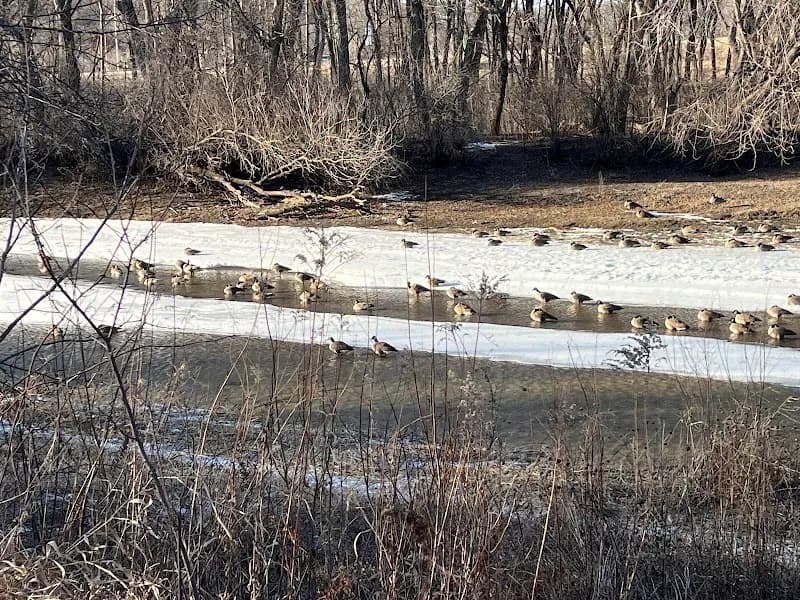 View of Zumbro South Park in Rochester, MN