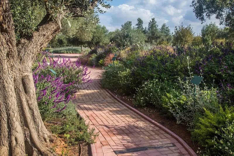 Βοτανικό Πάρκο Αττικής amusement center in Spata, AT