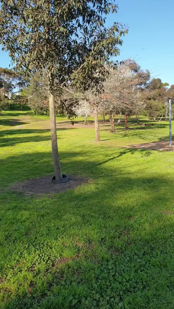 View of Aberfeldie Park in Docklands, VIC