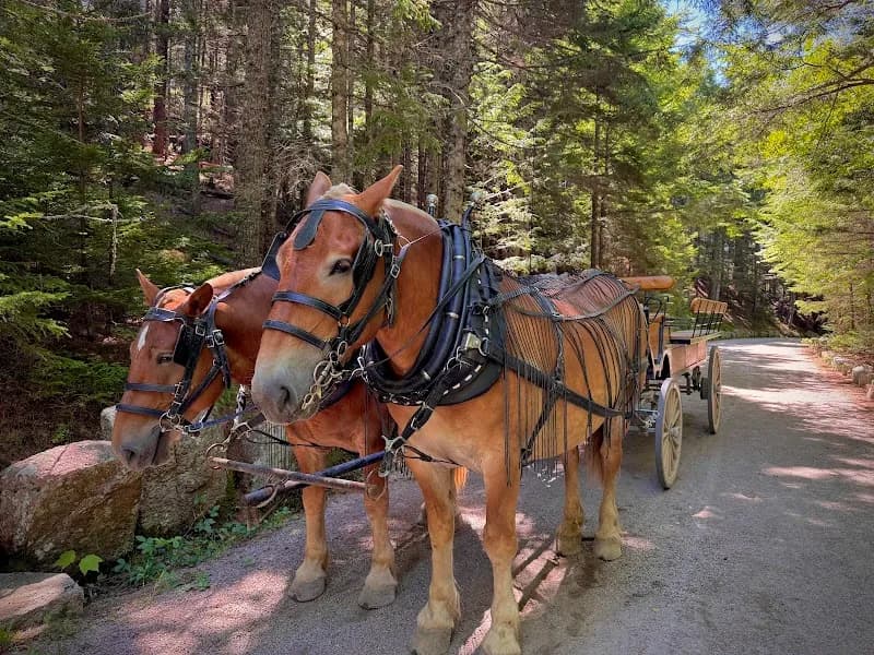 View of Acadia by Carriage in Bar Harbor, ME