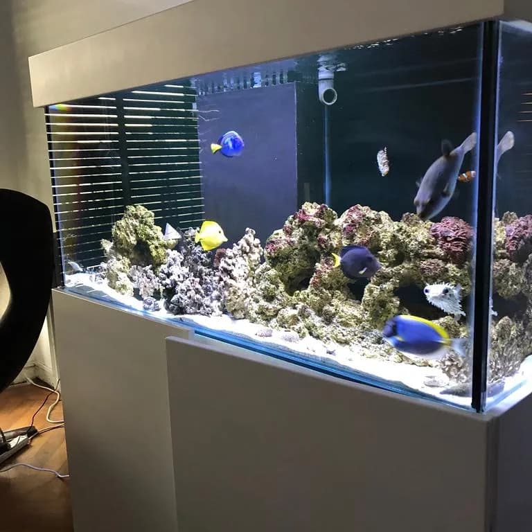 View of ACQUS in Buenos Aires, BA