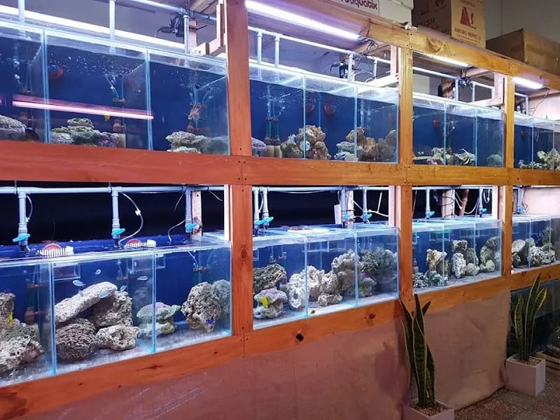 View of ACQUS in Buenos Aires, BA