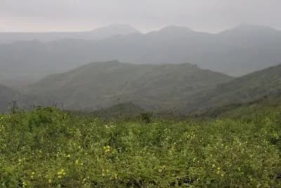 ACR Lomas de Ancón nature preserve in Ancón, Lima