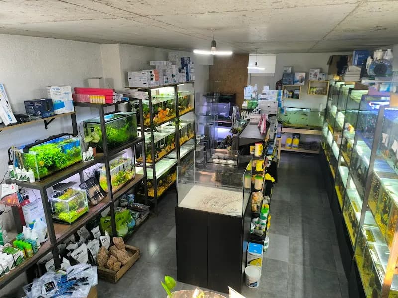 View of acuario acuaworld in Montevideo, MO