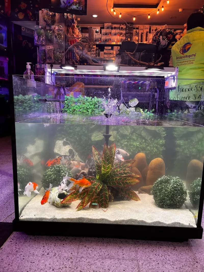 View of Acuario de Bogotá in Bogota, BOG