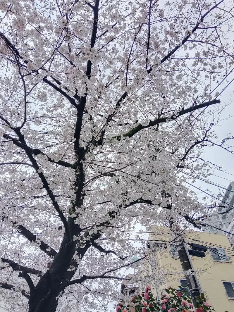 View of Akabane Park in Toda, Saitama