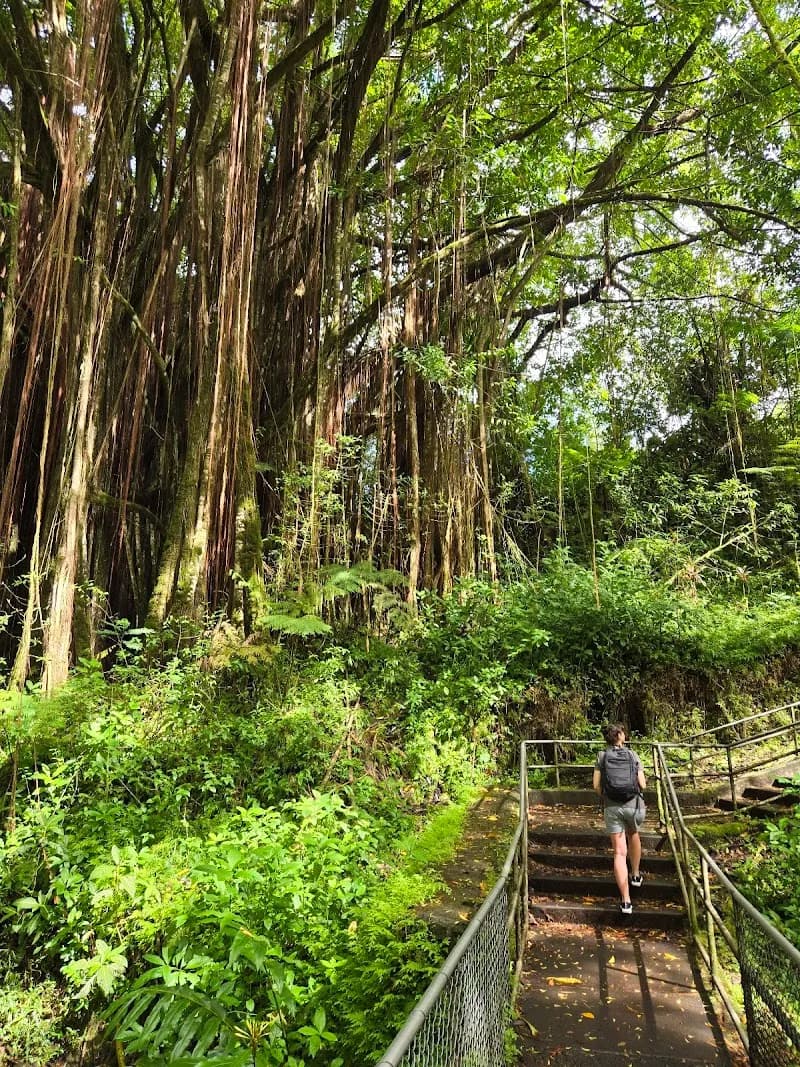 View of ʻAkaka Falls State Park in Kauai, HI
