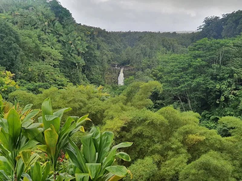 View of ʻAkaka Falls State Park in Kauai, HI