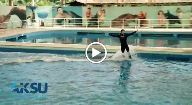 View of Aksu Dolphinarium in Konyaaltı, Antalya