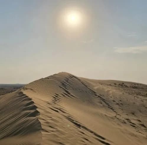 Al Qudra Cycle Track point of interest in Dubai, DXB