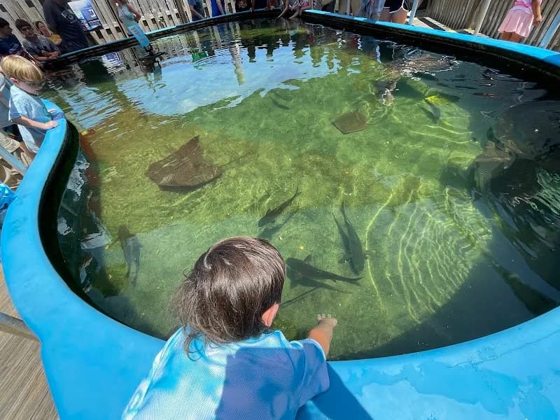 Alabama Aquarium at the Dauphin Island Sea Lab aquarium in Mobile, AL