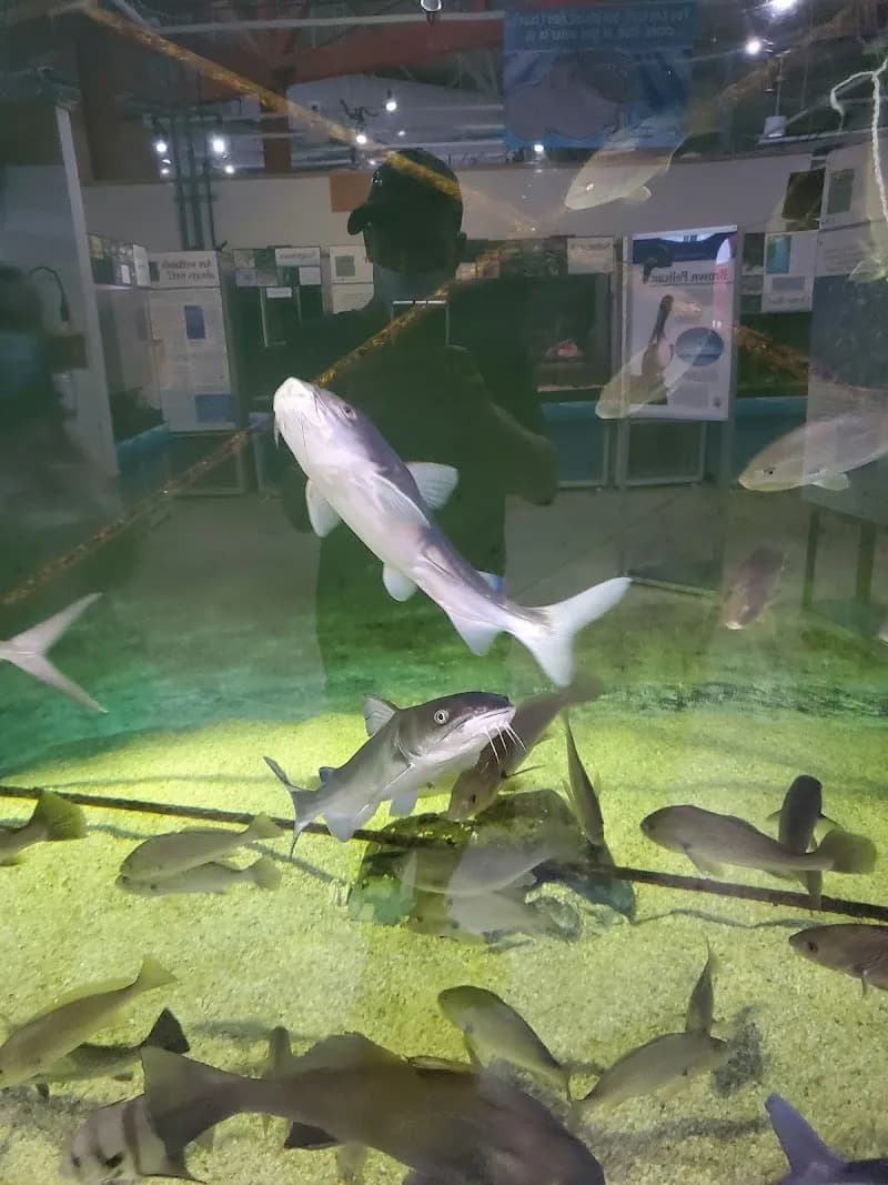 View of Alabama Aquarium at the Dauphin Island Sea Lab in Mobile, AL