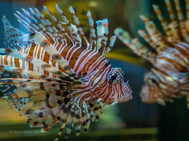 View of Alabama Aquarium at the Dauphin Island Sea Lab in Mobile, AL