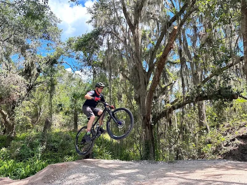 View of Alafia River State Park in Brandon, FL
