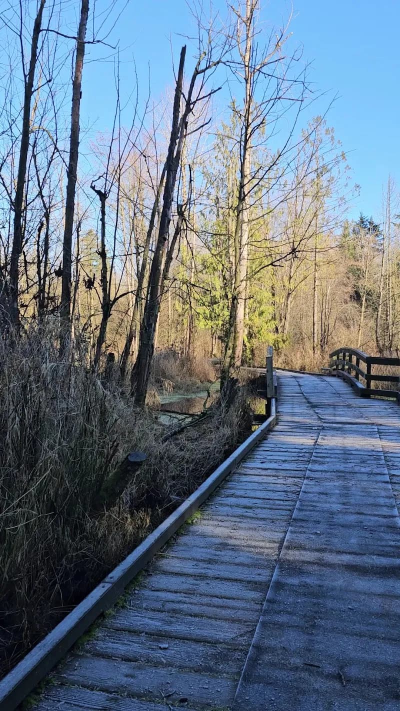 View of Aldergrove Regional Park in Langley, BC