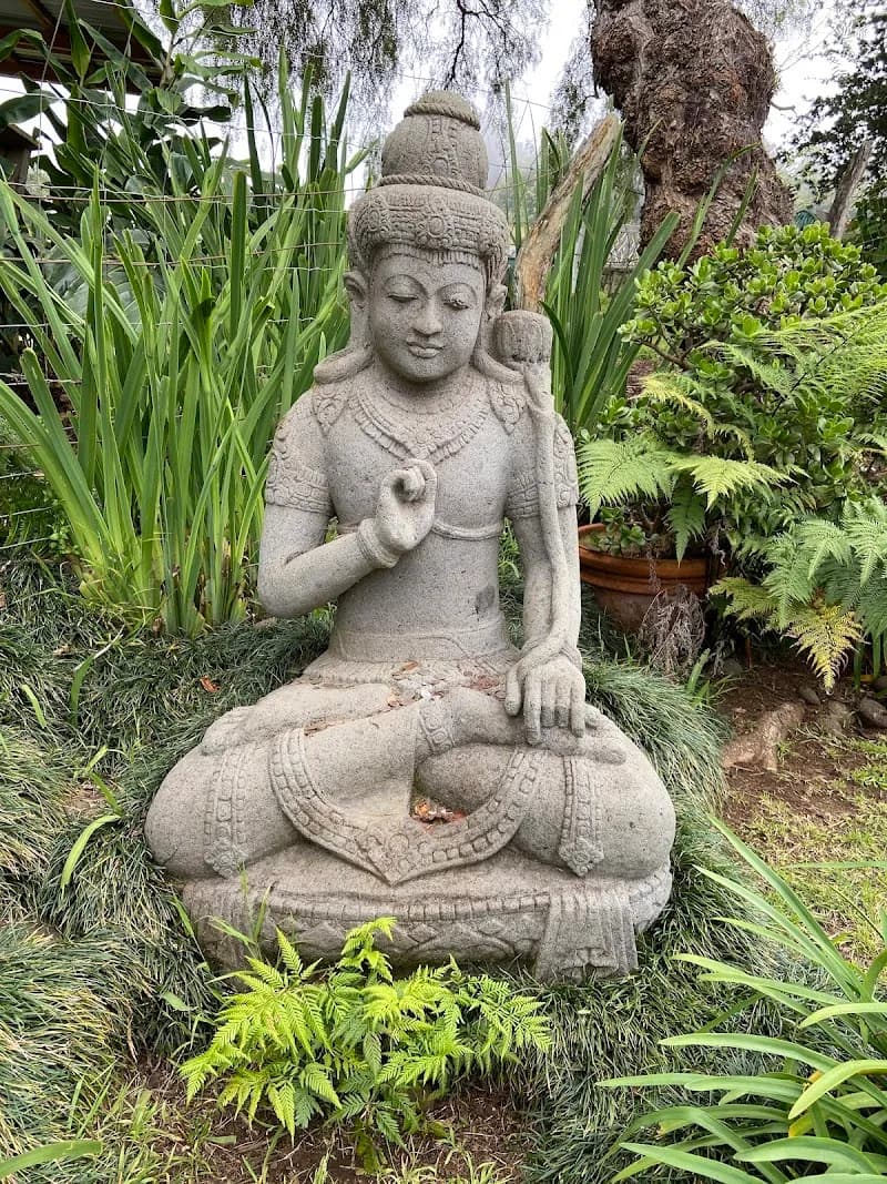 View of Ali'i Kula Lavender in Maui, HI