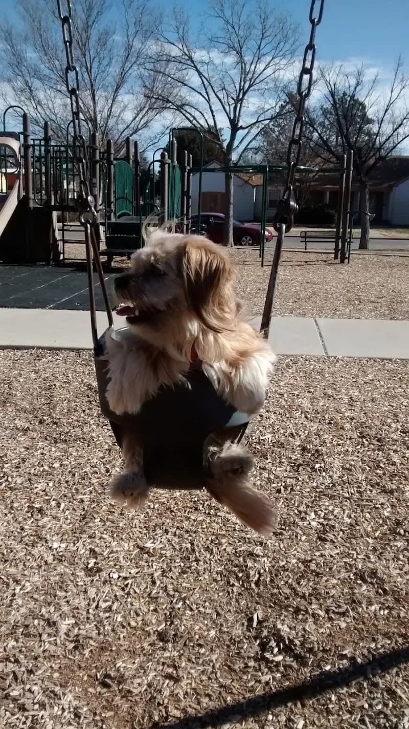 View of Amarillo Parks and Recreation Splash Pads in Amarillo, TX