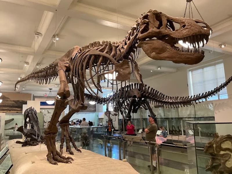 American Museum of Natural History tourist attraction in New York City, NY