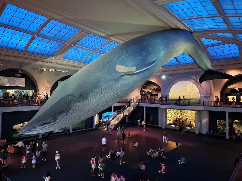 View of American Museum of Natural History in New York City, NY