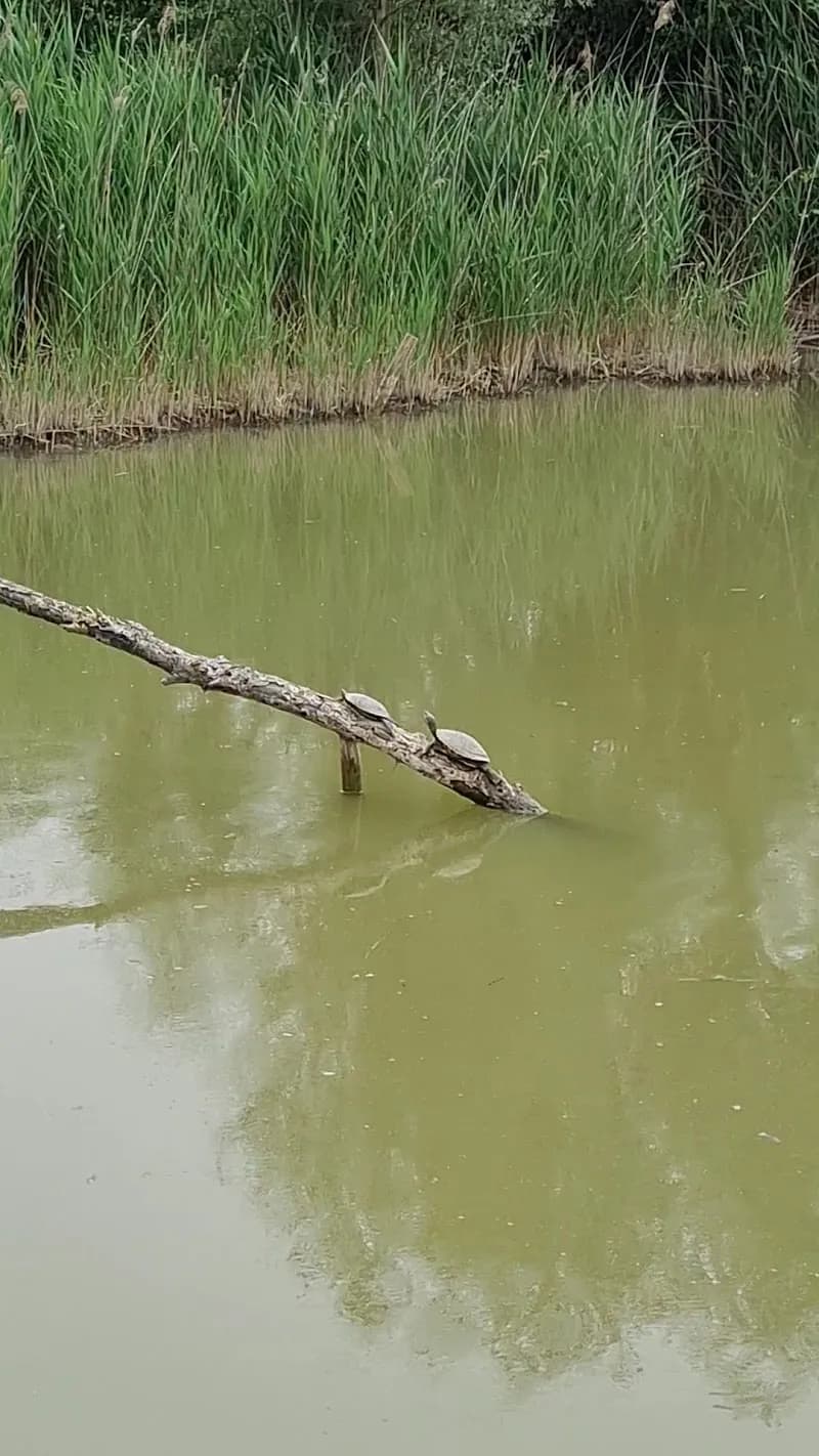 View of ANPIL Podere La Querciola in Scandicci, Tuscany