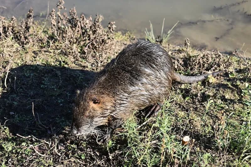 View of ANPIL Podere La Querciola in Scandicci, Tuscany