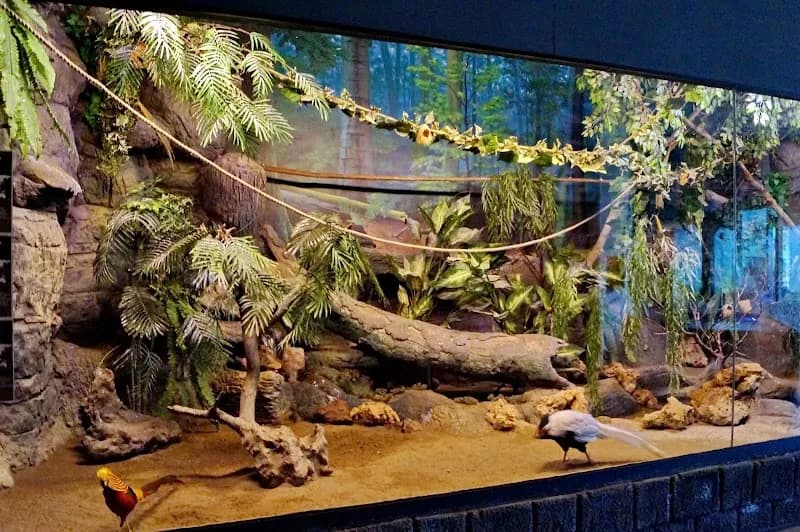 Antalya Reptile Park zoo in Antalya, ANT