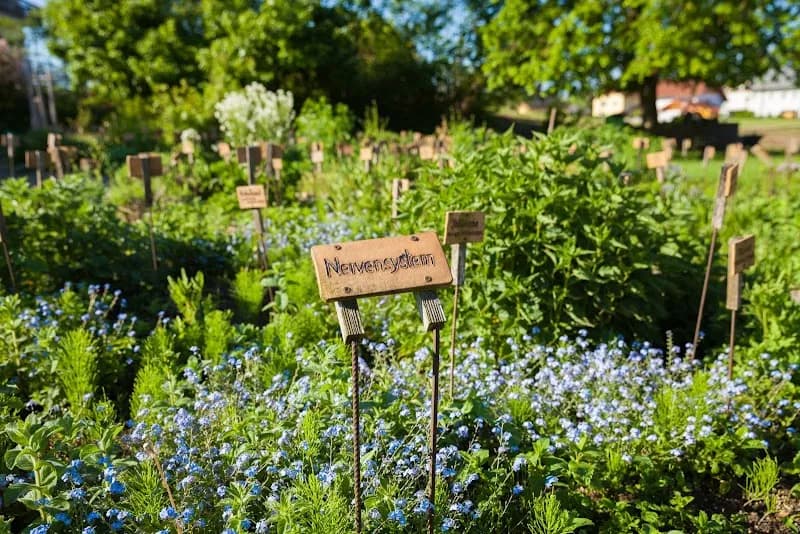Anthering Community Garden Areas garden in Anthering, Salzburg