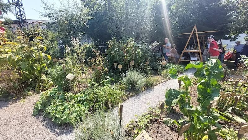 View of Anthering Community Garden Areas in Anthering, Salzburg