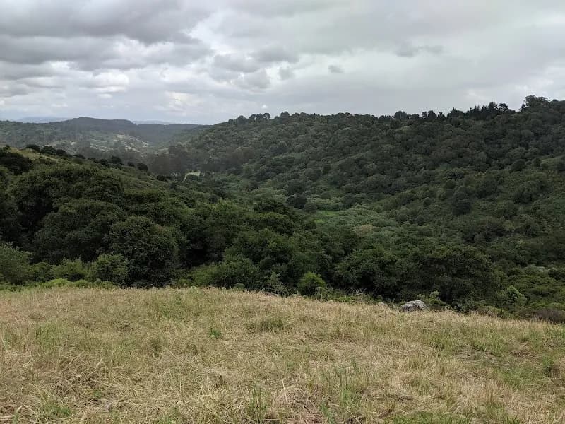 View of Anthony Chabot Regional Park in Evergreen, CA