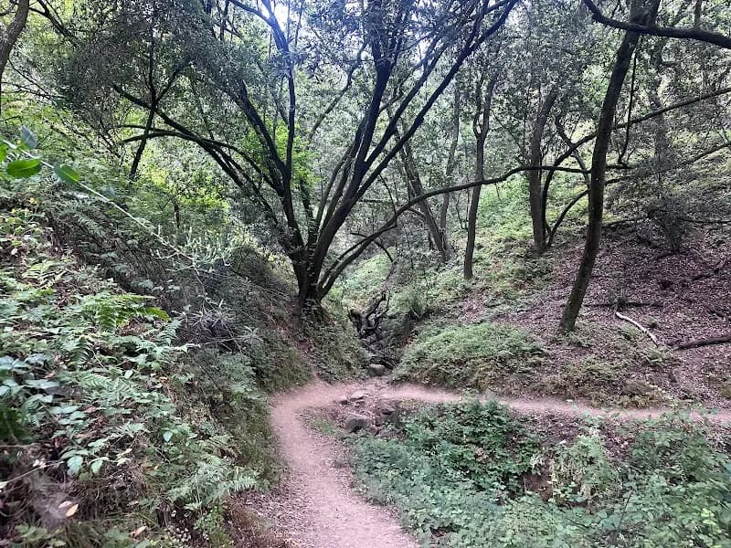 View of Anthony Chabot Regional Park in Evergreen, CA