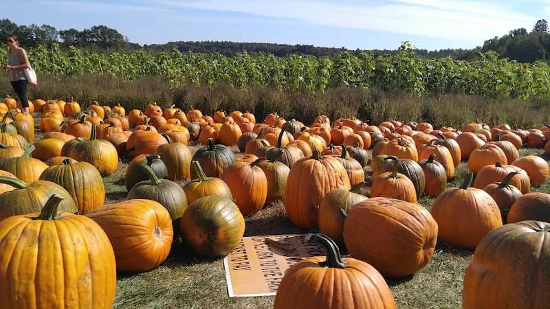 View of Applecrest Farm Orchards in Atkinson, NH