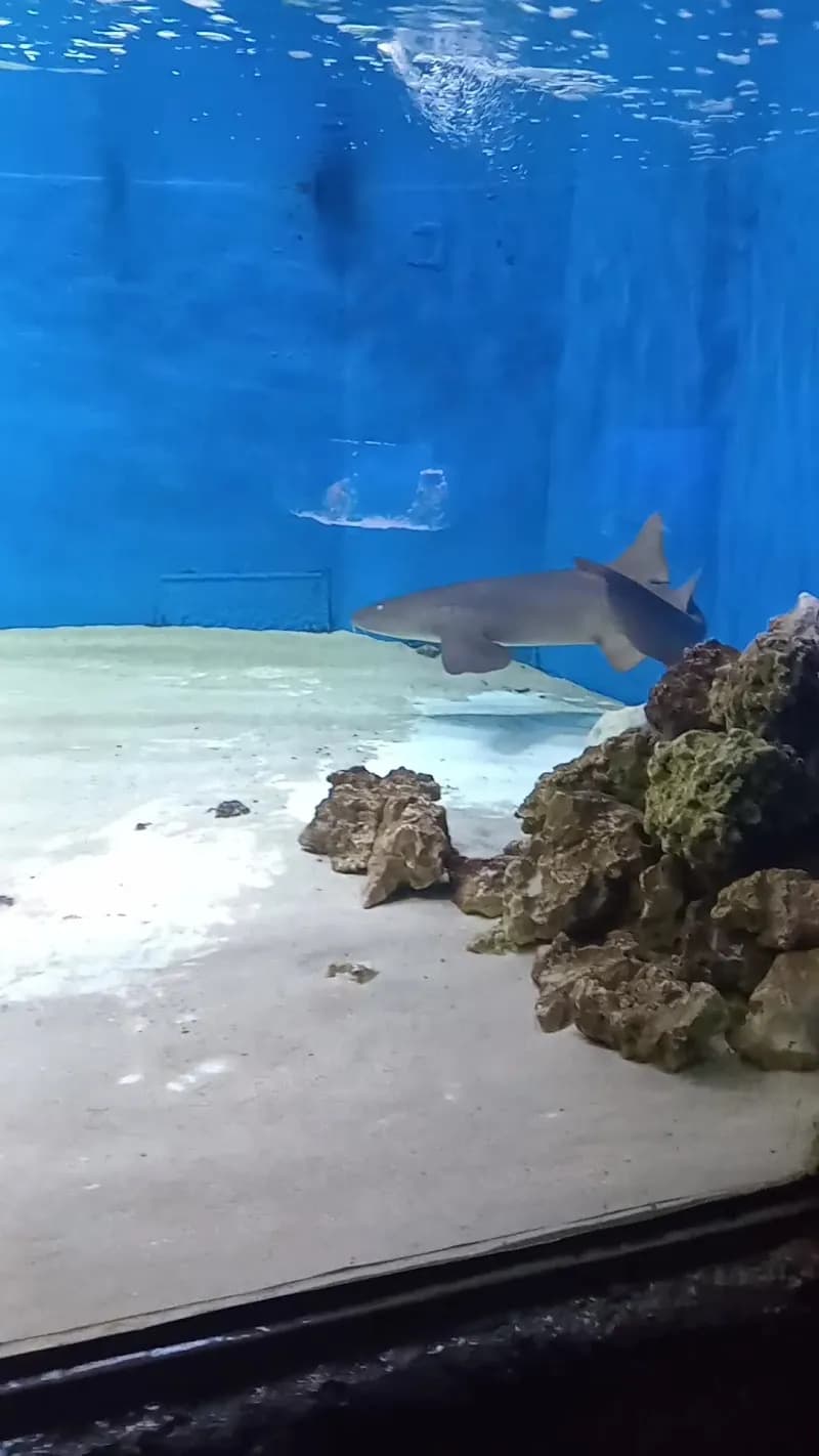 View of Aquamundo Aquarium in Santiago, RM