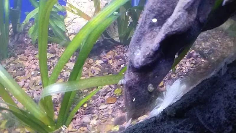 View of Aquamundo Aquarium in Santiago, RM