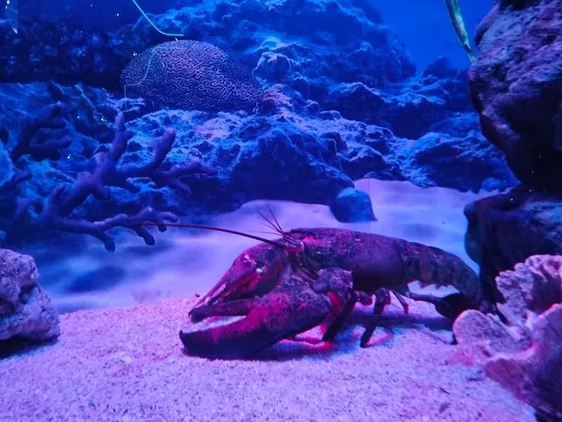 View of Aquaria KLCC in Kuala Lumpur, KL