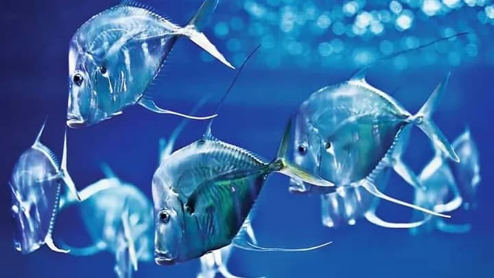 Aquarium Berlin aquarium in Berlin, BE