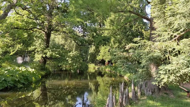 View of Arboretum de la Vallée aux Loups in Val-de-Marne (Ivry-sur-Seine area), IDF