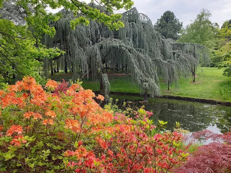 View of Arboretum de la Vallée aux Loups in Val-de-Marne (Ivry-sur-Seine area), IDF
