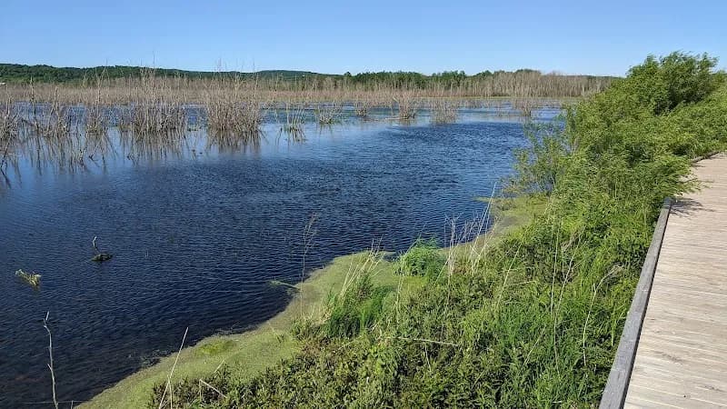 View of Arcadia Marsh Nature Preserve in Arcadia, MI