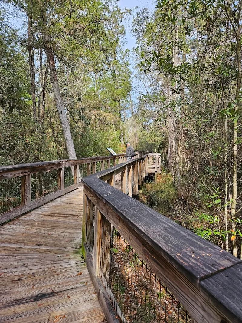 View of Arcadia Mill in Bagdad, FL