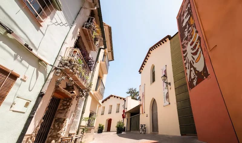 Archaeological Museum of Gandia tourist attraction in Gandia, V