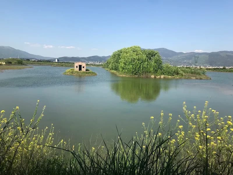 Area naturale protetta Stagni di Focognano city park in Campi Bisenzio, Tuscany