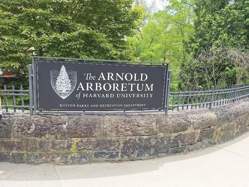 Arnold Arboretum of Harvard University botanical garden in Boston, MA